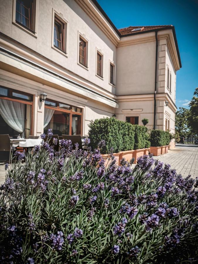 Restaurant Pansion Wien Cierny Brod 外观 照片