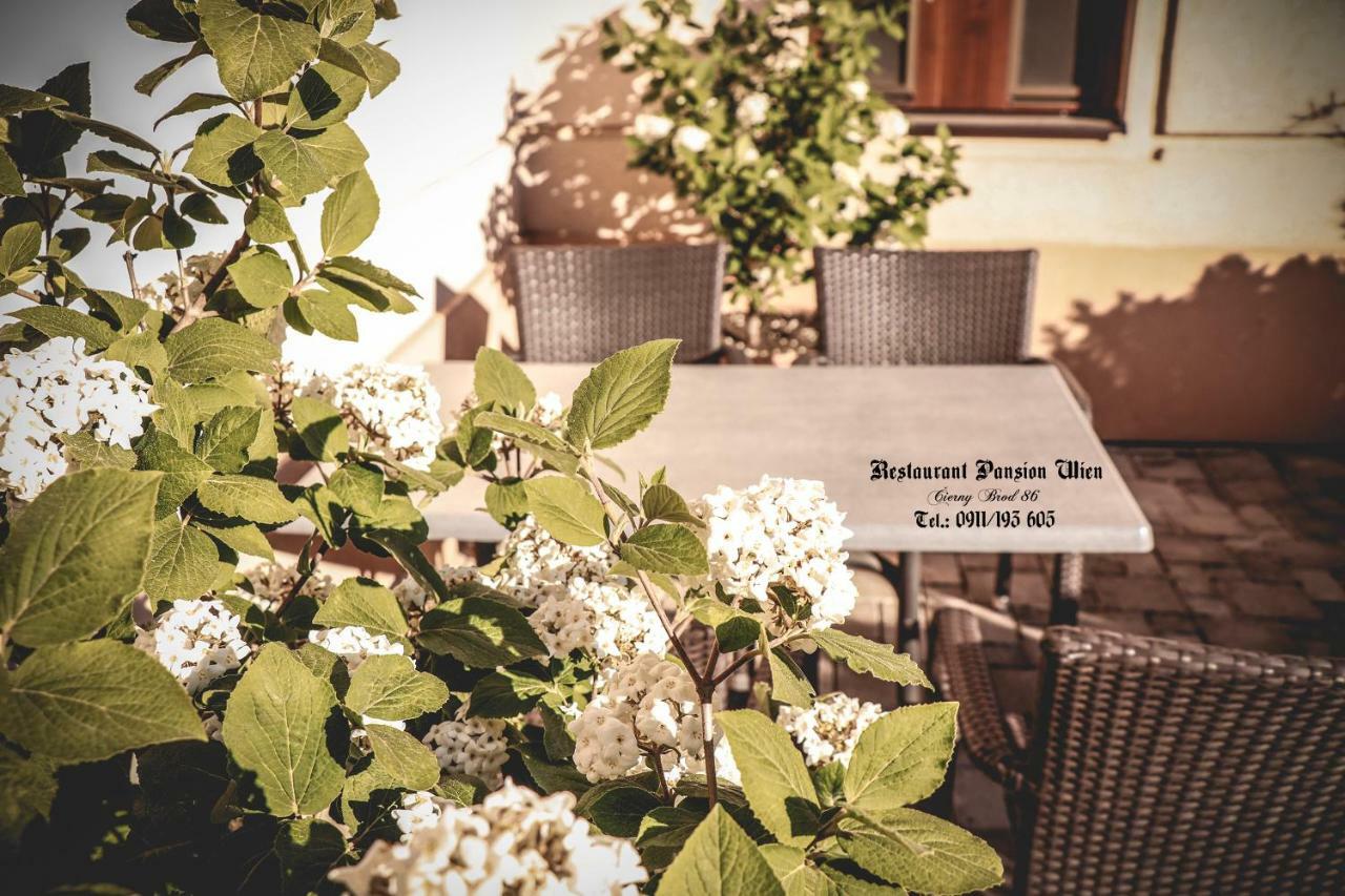Restaurant Pansion Wien Cierny Brod 外观 照片